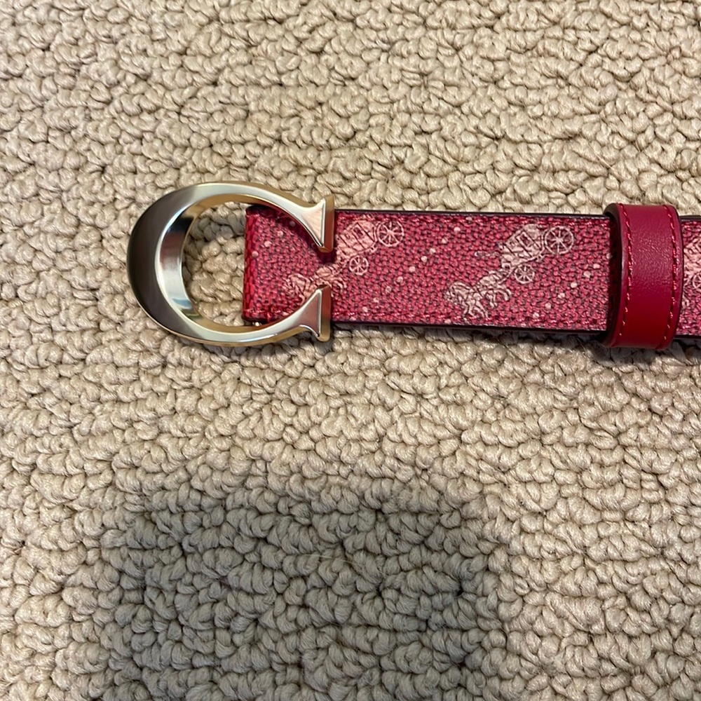 Coach Belt
